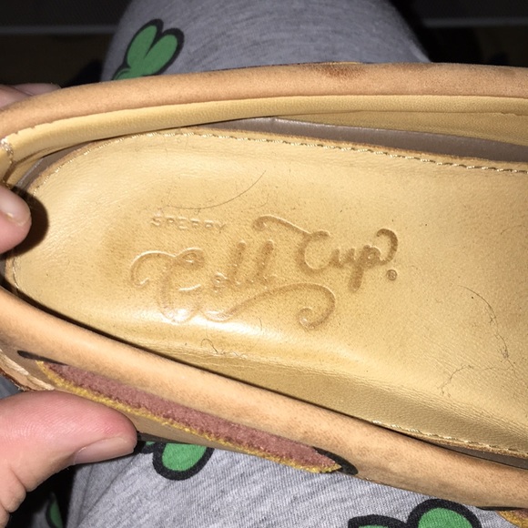 Sorry Goldcup - Picture 2 of 3